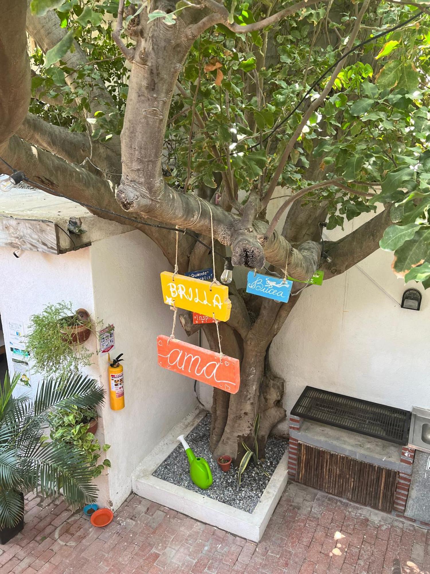 Ocean Lovers Hostel & Apartments Taganga Exterior photo